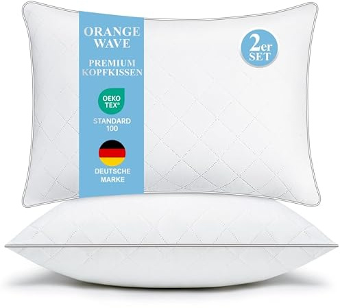 Oreillers 50x70 Lot de 2 Qualité Hotel Oreiller Moelleux Coussins, Oeko-TEX