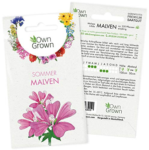 Malve Samen: Premium Sommermalve Samen für ca. 250 blühende Malven Pflanzen – Schöne Malven Blumen Samen kaufen – Blumensamen, Blumenwiese Samen, Own Grown Samen, Wildblumensamen