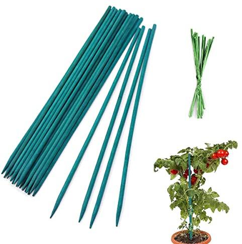 TSKDKIT 25 STK Pflanzenstäbe 30cm Pflanzenstützen Rankstäbe Mit 50 Pflanzenbindern, Grüne Pflanzstäbe Tomatenstäbe Grün für Haus Garten Kletterpflanze Erweiterung der Pflanzenstütze