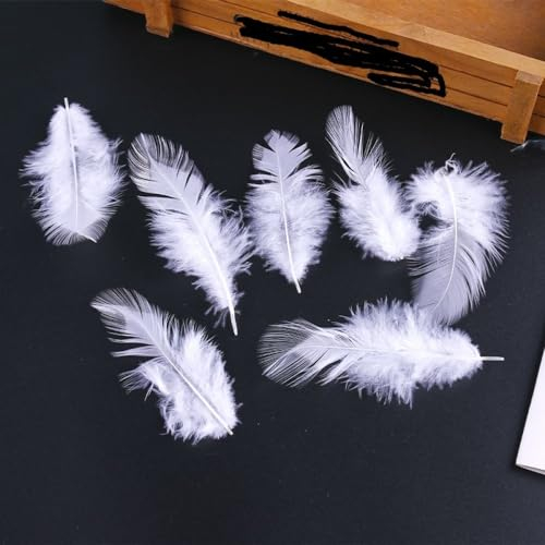 LIBERGA 200 Stück Bastelfedern 6–13cm Federn Für Bastelarbeiten, Heimdekoration, Hochzeit, Party Dekoration, Ästhetische Federn, Weiß