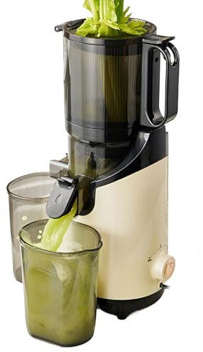 300W Cold Press Juicer, Slow Masticating Machines with Slag Catching Cup and Juice Cup, Electric Juicer Machine with 5.1 Extra Large Feed Chute,for Juice, Smoothies, Nut Milk, and Sorbets