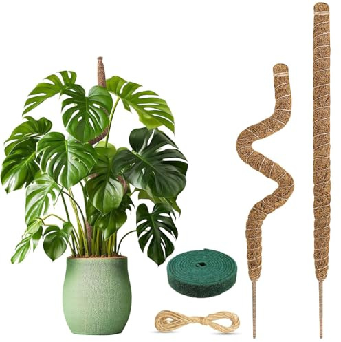 2 Stück Monstera Rankhilfe, Pflanzstab Kokos Moosstab, Biegsame Moosstäbe für Pflanzen, Monstera Stab mit Zubehör, Moosstab-Set für Kletterpflanzen Pflanzenstütze (80cm)