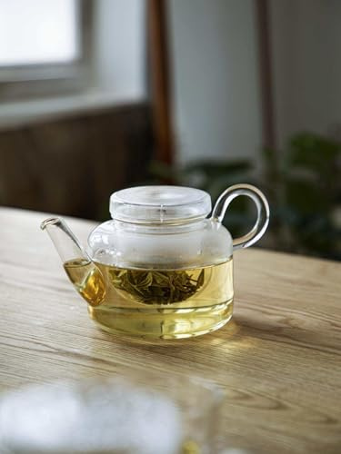 Teekanne aus Borosilikatglas mit Glasteesieb (SHIMOYAMA) - Glaskanne (750 mL, thermoschockbeständig bis 120 °C) für losen Tee & Kräutertee