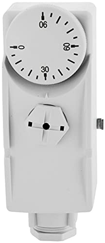 Thermostat pour tuyau de chauffage - Avec ressort
