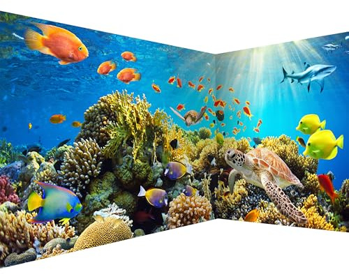 murando - Fototapete selbstklebend Unterwasserwelt, 539x250 cm, Wohnzimmer | Selbstklebend ohne Kleister, Full HD Druck, ideal fürs Wohn- oder Schlafzimmer, schnelle Montage, lichtbeständig, geruchsfrei
