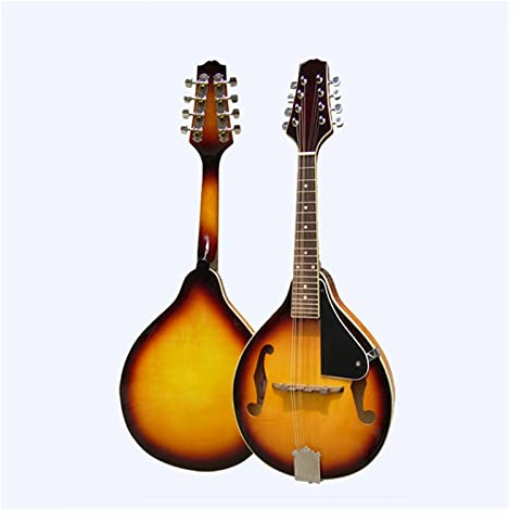 student mandolin Tenor Mandolin Eight-string Mandolin Instrument Mandolin