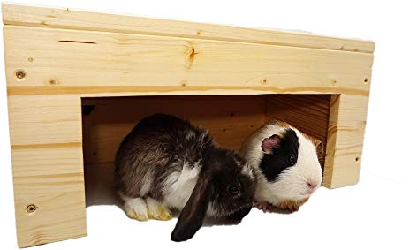 Nagerstore Nagerhaus Kleintierhaus Meerschweinchen Unterstand sehr Stabil & mit Schutzlasur
