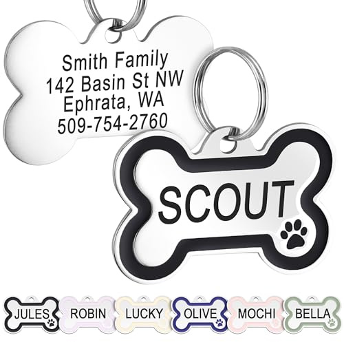 GoTags Stainless Steel Pet ID Tag Bone Round and Heart Shaped Paw Design