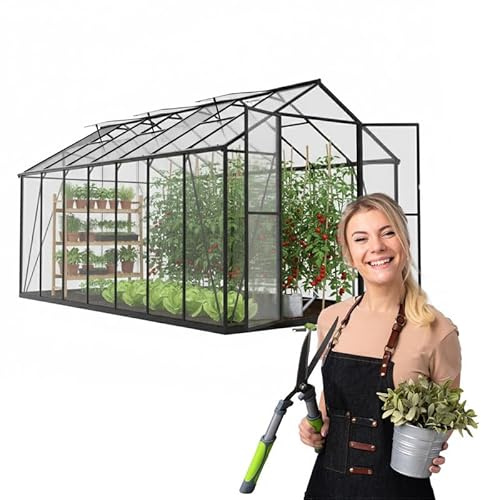 Gewächshaus klein 422x247x230 cm Verbena IV - Gewächshaus mit Fundament - Anzuchtgewächshaus - Dachfenster - Polycarbonat Hohlkammerplatten - Growzelt - Tomatengewächshaus - Gartengewächshäuser