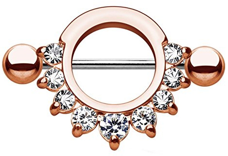 beyoutifulthings Brustwarzen-Piercing ZIRKONIA Ring Intim-Piercing Brust-Piercing Edelstahl Silber Gold Roségold Hämatit Clear Stab 1,6mm 14mm