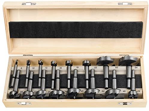 Forstnerbohrer Set 16tlg für Holz - BAIDETS Forstner Bohrer Satz, Holzbohrer Set Ø6-54mm, Forstner Bits mit Rundschaft, Bohraufsätze, Zubehör Bohrmaschine, Mit Holzkasten