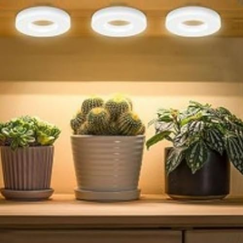 Demiawaking LED Pflanzenlampe Wachstumslicht, Vollspektrum Wachstumslampen für Pflanzen, 3000-6000K, 3 Timing, 48LED, Dimmbar Pflanzenlicht für Setzlinge, Sukkulenten, Blumen (4 Kopf)
