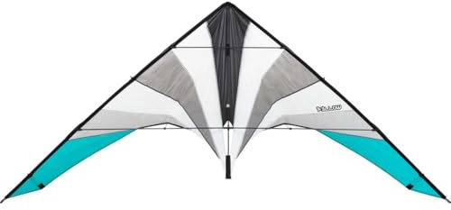 HQ Design - Fellow, Lenkdrachen Zweileiner Flugdrachen Teamfliegen ruhig und präzise ab 14 Jahren, 112x250cm, Kohlefasergestänge, Dyneemaschnüre 50-100kp empf. (Nicht inkl.), 2-5 Bft