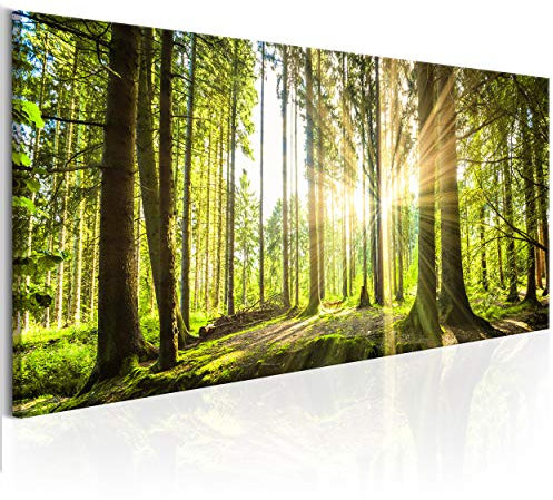 decomonkey Bilder Wald 150x50 cm XXL 1 Teilig Leinwandbilder Bild auf Leinwand Vlies Wandbild Kunstdruck Wanddeko Wand Wohnzimmer Wanddekoration Deko Natur Landschaft