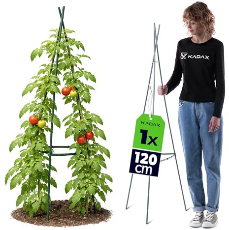 KADAX Obelisk växtstöd, 120 cm, 1 styck, växtställning av metall med plastbeläggning, växtstavar för uppbäddning, spaljé för bönor, rosor och klätterväxter