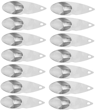 Cabilock 14 Pz Cucchiaio per Scavare Kiwi All'aperto Affettatrice di Kiwi Cucchiai Pela Kiwi Coltello da Cuoco Mannaia Porta in Piedi Taglia Kiwi Piega Corer Silver Acciaio Inossidabile 430