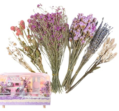 Genérico Flor de Espiga Natural, lecho de Flores secas para hámster, decoración para el hábitat de Ratones, Set de Aerosoles Decorativos para hámsteres y Animales pequeños