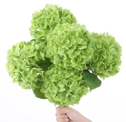dallisten 5PCS 20'' Green Artificial Hydrangea Flowers Latex Faux Hydrangeas Real Touch Silk Hydrangea with Stems for Home Decor Weddings Table Floral Arrangements Centerpieces Party Decorations