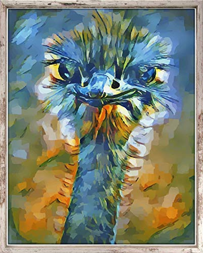 Leon Schattenfugenrahmen für Leinwandbild Rahmen für Canvasbild 30x80 cm Farbwahl Hier Weiss Vintage Shabby Chic ohne Glas