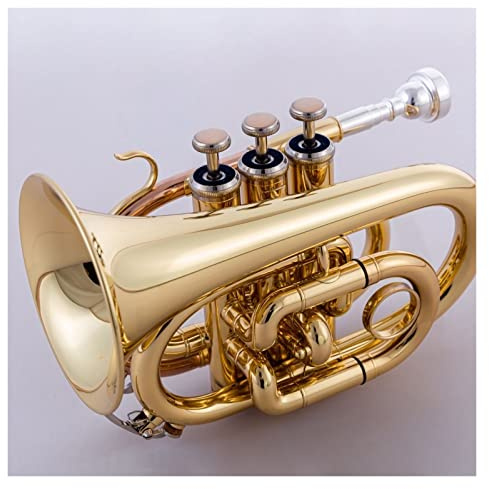 Trompete im Taschenformat Professionelle Trompete Phosphor-Bronze Vergoldete Taschentrompete B-b Professionelles Instrument Taschentrompete