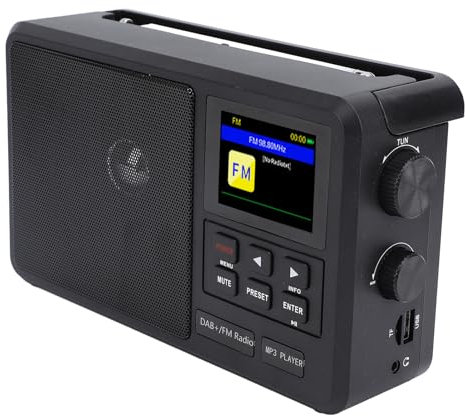 Portable FM Radio with Large Knob Tuning Sleep Off Timing, USB BT, Wireless Fidelity Internet DAB FM Radio for, Support Multiple Sound Formats (UK Plug)