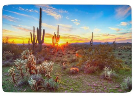 FekiLoot Cactus Desert Sunset Coral Velvet Area Rug 150x100cm Soft Comfortable Non-Slip Floor Mat Absorbent Thick Plush Carpet Home Decor Area Rug for Living Room Bedroom All Floor Types