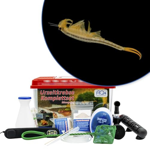 Mongolische Feenkrebse Branchipodopsis affinis Premium Komplettset 6 l | Aquarium, Urzeitkrebs-Eier, LED, Filter, Luftpumpe, Heizung, Futter, Zubehör und Anleitung; Komplett für Zucht und Aufzucht