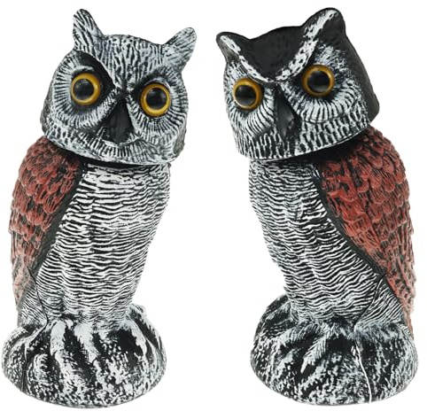 BAODBF 2Pcs Plastic Owl,Bird Scarers for Gardens with 360° Swivel Head,Owl Bird Scarer,Pigeon Deterrent for Garden,Paddy