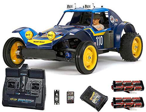 Tamiya RC 58470 Holiday Buggy 2010 DT-02 1:10 Premium Stick Radio Bundle