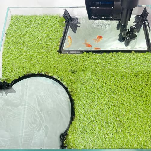 Pryitier Aquarium Floating Plant Barrier, Floating Plant Corral Self Adjusts to Water Level Fish Tank Fence Keeps The Floaters Away from The Filter