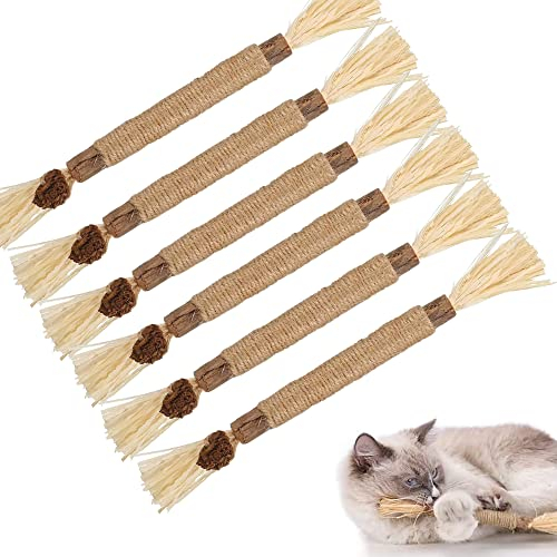 HIQE-FL Katzenminze Sticks,6Pcs Katzensticks Zur Zahnreinigung,Katzen Zahnpflege Spielzeug,Kausticks Set,Cat Chewing Toy,Spielzeug für Katzen (A)