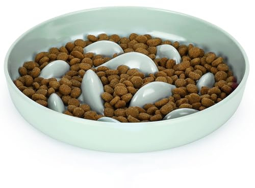 IDOGCHEW Anti Schling Napf für Katzen und Kleine Hunde, Langsam Fütterung Katzennapf, Puzzle-Schale mit Rutschfester Unterseite für Katzen (Rund, Hellgrün)