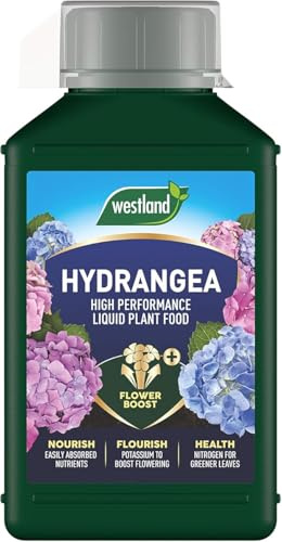 1L, Hydrangea Liquid Plant Food, Concentrated Feed for Vibrant Blooms & Healthy Growth, Supports Blue & Pink Varieties, Ideal for Garden Shrubs & Containers