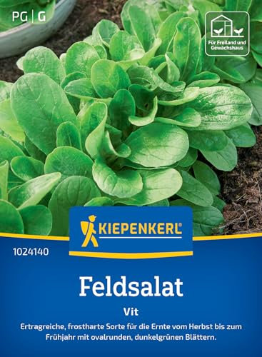 Kiepenkerl Feldsalatsamen Vit 1024140 - Ertragreiche frostharte Salatsamen für köstliche Salate, widerstandsfähig gegen Falschen Mehltau, Gemüsesamen für 15 lfd. Meter