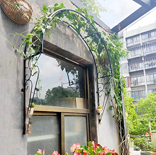 Arco de jardín para plantas trepadoras – Eje de pared de metal para hiedra y rosas, soporte para interiores y exteriores, elegante diseño negro, tamaño: 100 cm de ancho, perfecto para ventanas y