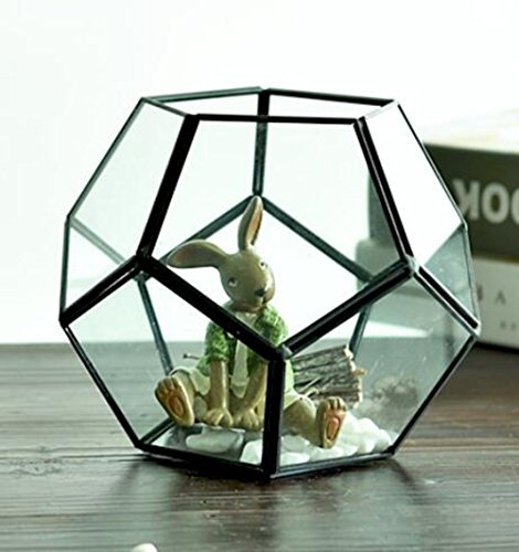 sotoboo DIY Glas Pentagon Regular Dodekaeder Geometrische Terrarium Container Desktop Übertopf für vollmundigen Farn Pflanzen Moos Air Halterung Miniatur Outdoor Fairy Garden Geschenk
