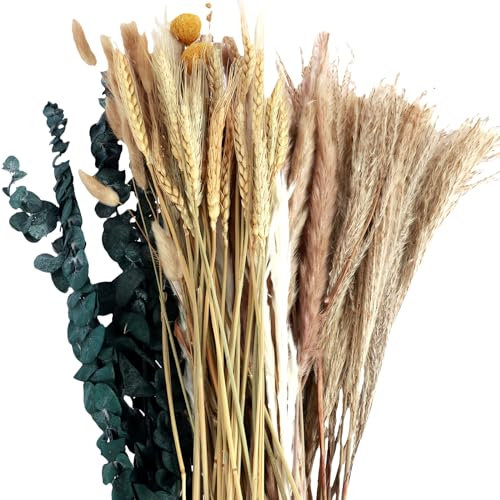 gebofuzhuang 115/90pcs getrocknete Pampas Gras Set für Vase natürliche elegante getrocknete Weizen -Weizen dekorative getrocknete weiße Pampas Bouquet DIY getrocknete staubige Grasdekoration für Hochz