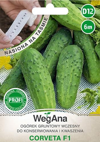 WegAna 6m cinta de semillas semillas de pepino al aire libre Corveta F1 pepino, semillas de hortalizas robustas, semillas de hortalizas, semillas para invernadero