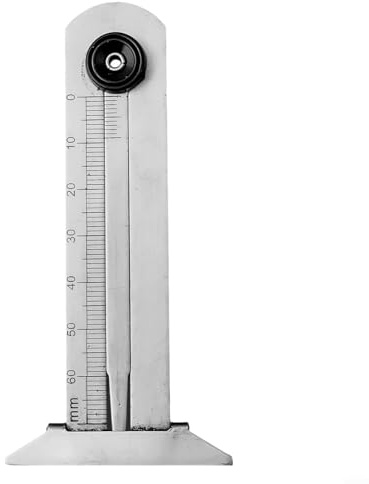 Jauge de profondeur de roulement de pneu en acier inoxydable avec règle et étrier à vernier pour la mesure de précision des pneus (0-60 mm)