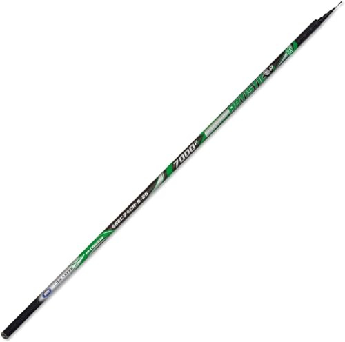 CANNA FISSA CARBONIO PESCA GALLEGGIANTE MARE FIUME LAGO METRI 7-8 - 9-10