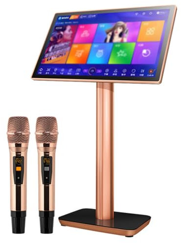 Machine de karaoké Lecteur de karaoké, avec microphone sans fil à réverbération, écran tactile capacitif 19,5/22 pouces Fonction de téléchargement dans le cloud Application YouTube,19.5inch-3TB