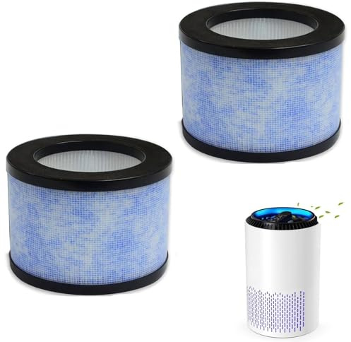 Wjelet Paquete de 2 filtros de repuesto HEPA DH-JH01/JH06 para purificador de aire Conopu DH-JH01/DH-JH06, filtro purificador de aire Conopu, filtración de carbón activo en 4 etapas