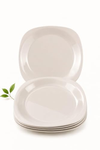Buzztrove 4 Pcs Flat Plastic Plates | S/M/L Unbreakable Kids for Outdoor Parties, Colorful Picnic | E-Co Friendly Reusable (Small 19.5 x 19.5cm, White)