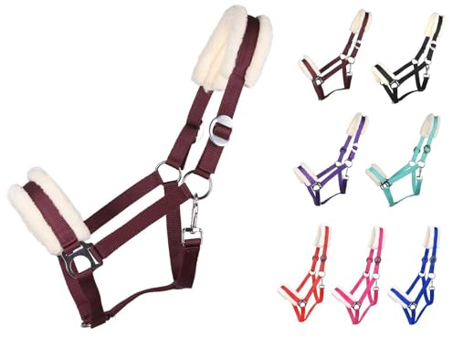 NETPROSHOP Solides Pferdehalfter gepolstert und verstellbar Gr. Mini Shetty bis Full u Kaltblut, Groesse:Cob, Farbe:Bordeaux