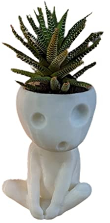 TOPINCN Pots de Plantes avec Trou de Vidange Résine Mignon Visage Lumineux Planteur Pot Tête Pot de Fleur Succulent Planteur Pot de Fleurs pour Maison Bureau Décor (#2)