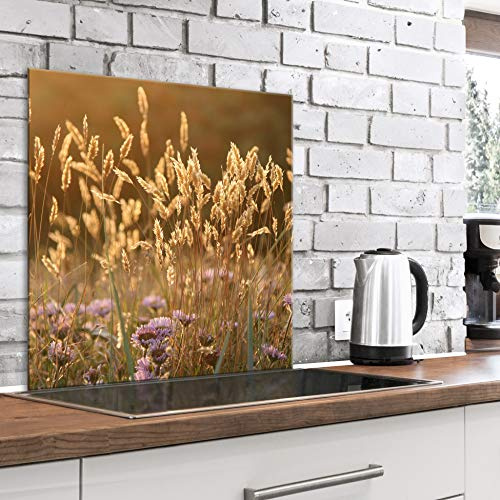 murando Glass Splashback for Kitchen Backsplash Cooker Protector | Tempered Glass Decorative Wall Art Panel Heat Resistant Graphic 60x60 cm / 24x24 Nature Field Flowers Grass