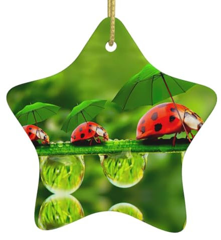 Weihnachtsbaum-Keramik-Sternform-Ornamente, passend für Paare, Hochzeit, Familie, Weihnachtsdekoration, lustiger Marienkäfer mit Regenschirmen