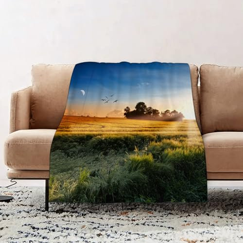 EOMKSE Kuscheldecke Flauschig Decke - weiche warme Fleecedecke 100x130cm als Decke Sofa,Foto von Wiesen im Morgenwind mit Himmel und Mond Land Landschaft Pastoral D,Wohndecke oder Couchdecke überwurf