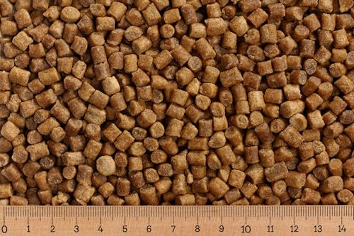 (Grundpreis 3,45 Euro/kg) - 10 kg Premium Koifutter Coarse 6,0 mm - Herbst/Winter - sinkend