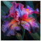 Bulbo Di Iris,Fiore Di Iris,Iris Barbuto,Bellissimo,A Forma Di Farfalla,Bulbi Di Piante Iris-10bulbi-H